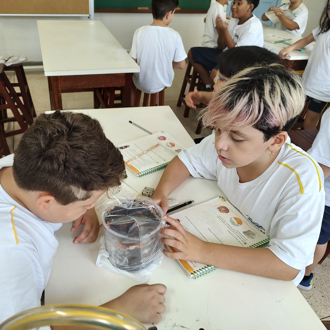 , O que acontece com pedaços de pão e mamão quando são descartados?  &#8211; 2023