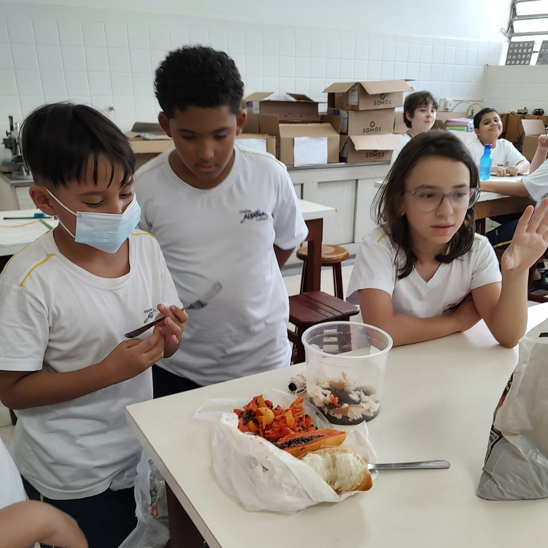 , O que acontece com pedaços de pão e mamão quando são descartados?  &#8211; 2023